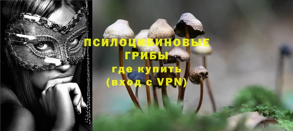 кокс Дмитриев