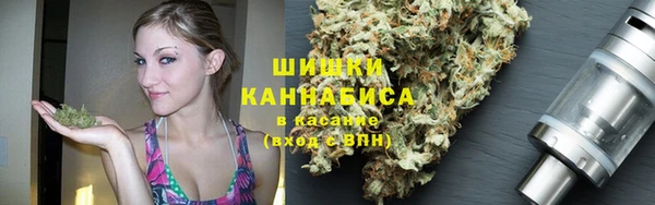 мдпв Дмитровск