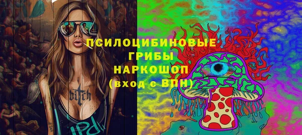 мдпв Дмитровск