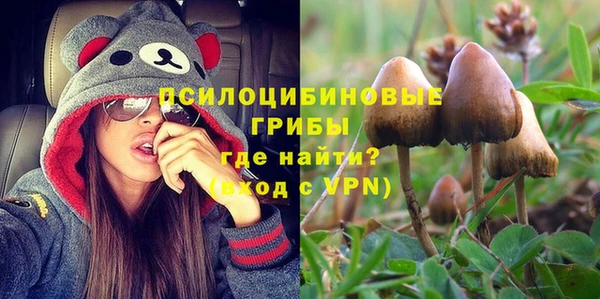 мдпв Дмитровск