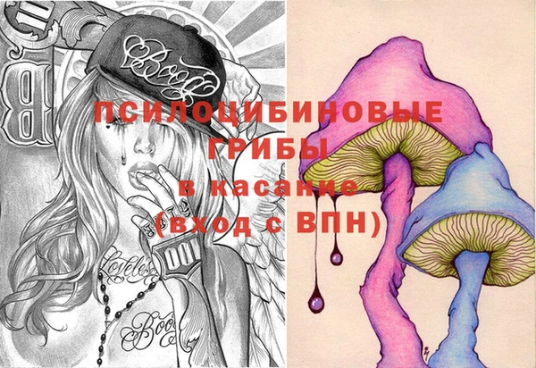 мдпв Дмитровск