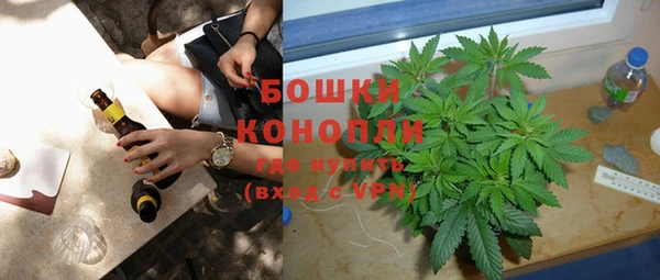 кокс Дмитриев