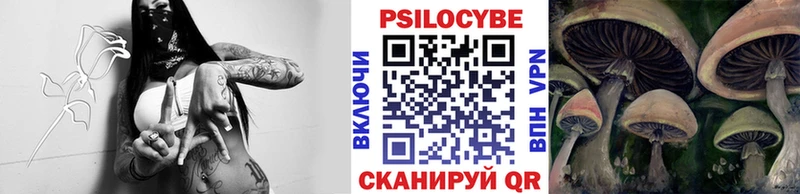 Купить закладки  Нижние Серги  Галлюциногенные грибы Psilocybe 